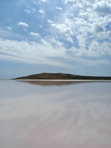 istock Pink salt lake under blue sky 1319765970