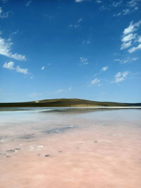 istock Real pink salt lake under blue sky with white salt bank 1319766014