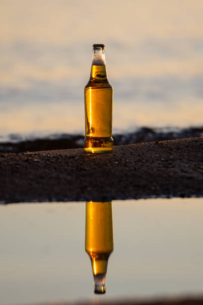 istock Bottle of Beer on the beach at sunset time 1319766090