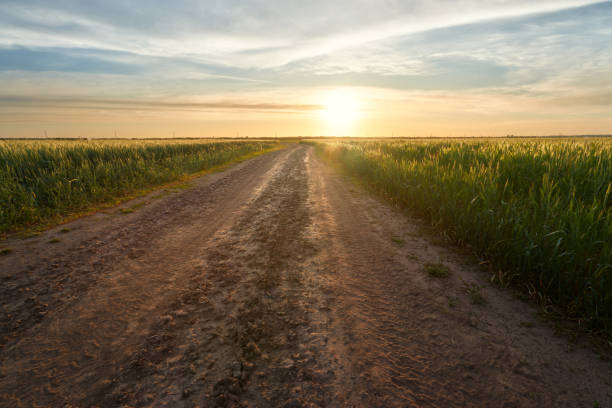 istock trail in the field 1319766406