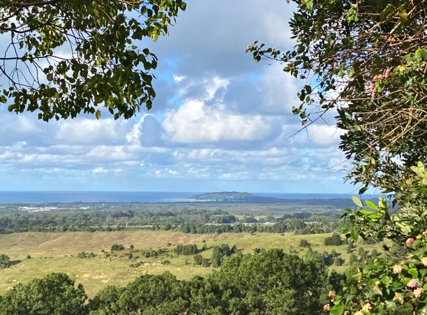 istock Ocean Horizon View Through Country Trees 1319770361