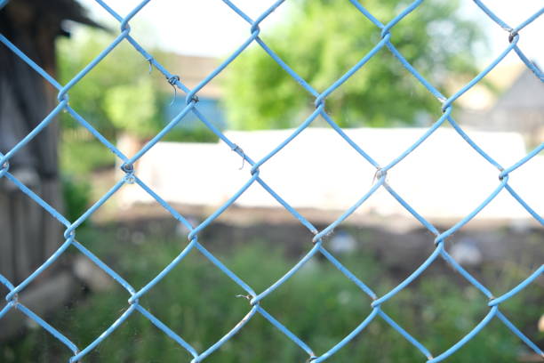 istock Metallic blue mesh on a green blurred background. Selective focus. Blue grid 1319775891