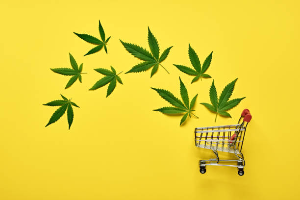 Shopping trolley and leaves of marijuana on yellow background. Legal cannabis concept Shopping trolley and leaves of marijuana on yellow background. Legal cannabis concept. cannabis store photos stock pictures, royalty-free photos & images