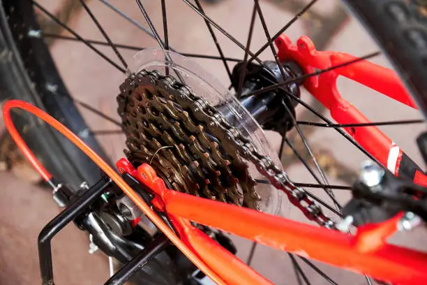 Photo of Close Up view of metallic bike gear on the rear wheel of a mountain bike