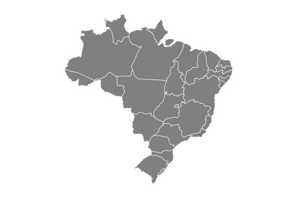 ilustrações, clipart, desenhos animados e ícones de mapa político brasileiro cor cinza isolada em fundo branco - brasilia