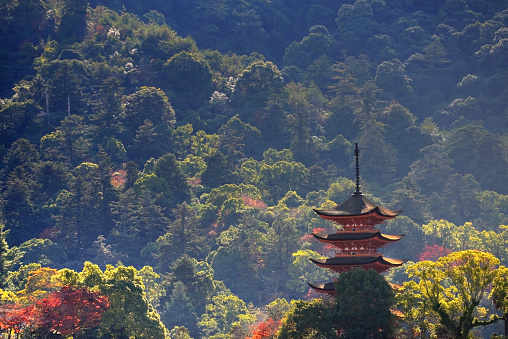 Five-storied Pagoda on a sunny autumn day in Hiroshima, Japan