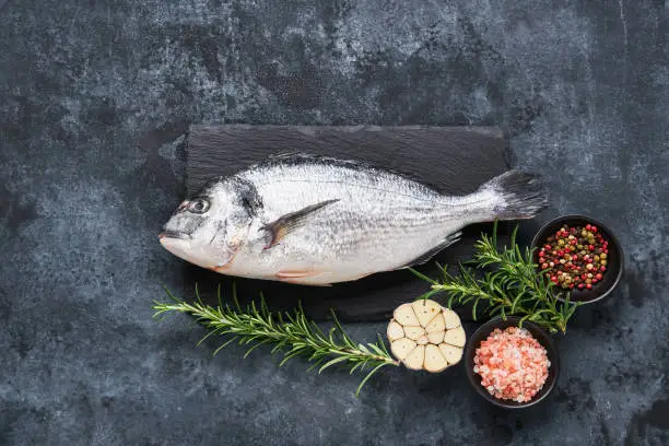 Photo of Raw dorada fish with rosemary, salt and garlic on a gray background. Mediterranean seafood concept