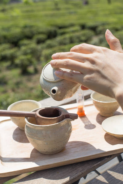 istock Hand pouring green tea with green tea field as a background. 1319785094