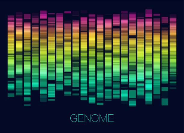 ilustraciones, imágenes clip art, dibujos animados e iconos de stock de visualización de datos genómicos grandes - test de adn