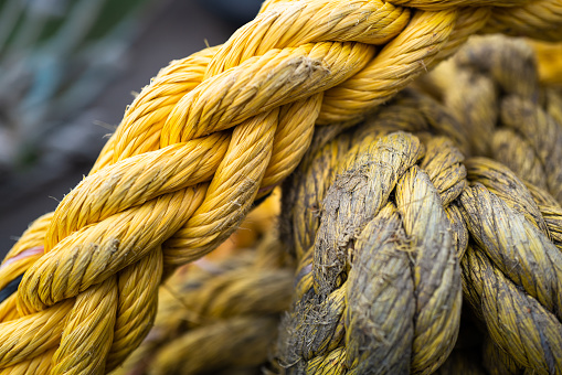 Close up macro color image depicting thick coils of yellow rope.