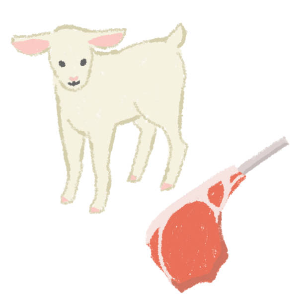 illustrations, cliparts, dessins animés et icônes de illustration de gril de viande de gril d’agneau - gigot fond blanc