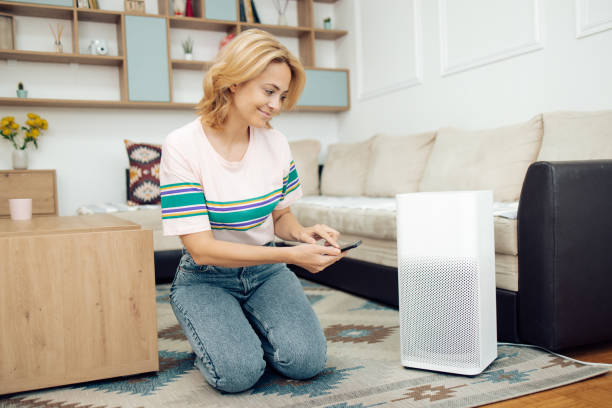 istock Woman adjusting a home air humidifier using a smart system 1319793176