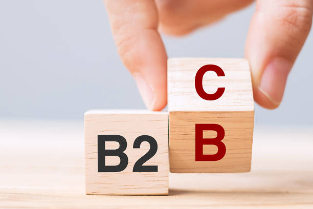 istock hand change wooden cube block from B2C to B2B. E Commerce, marketing and strategy concepts 1319794659