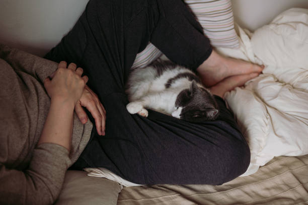 istock Cat comfortably lying between woman's legs 1319794672