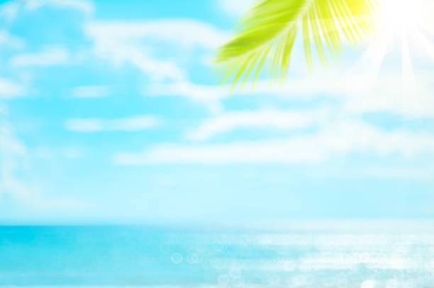 istock Blur beautiful nature green palm leaf on tropical beach with bokeh sun light wave abstract background. 1319794889