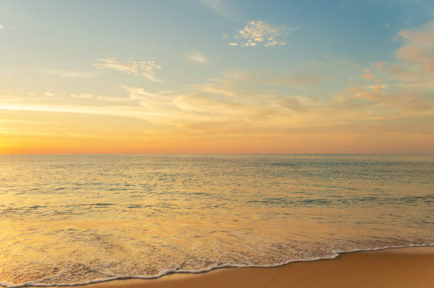 istock Tropical beach with smooth wave and sunset sky abstract background. 1319794899