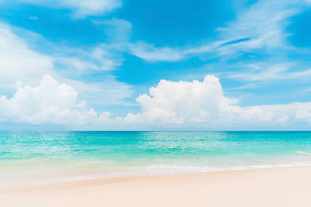 istock Beautiful tropical beach with blue sky and white clouds abstract texture background. 1319795501
