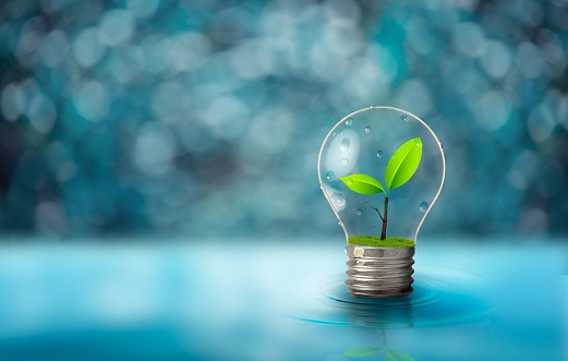 Light bulb with fresh green leaf inside on blurred light blue background. Ecological and energy concept.