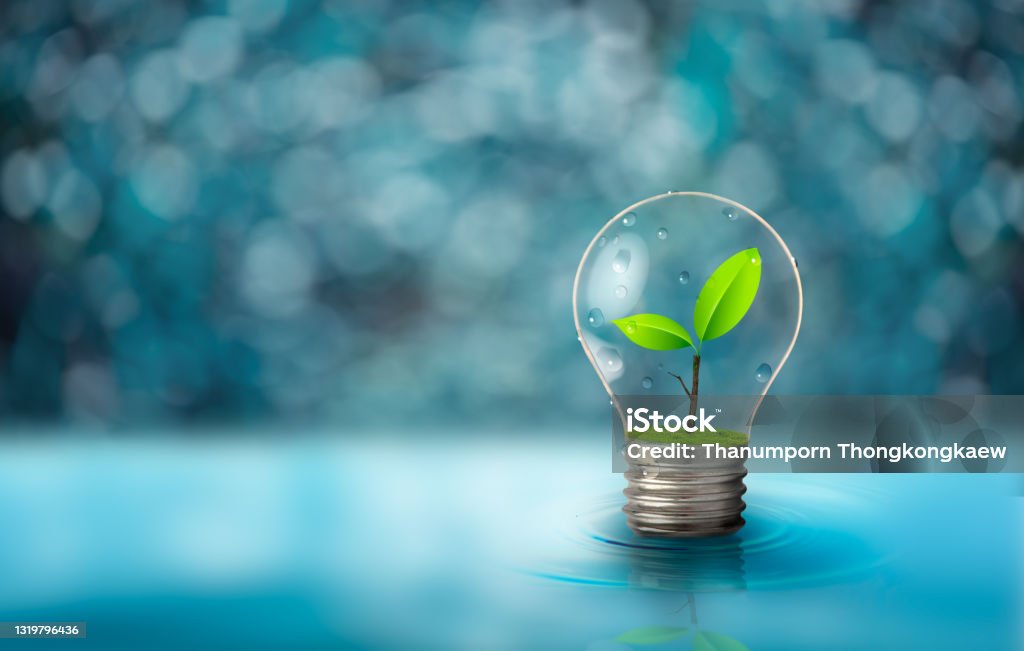 Light bulb with fresh green leaf inside on blurred light blue background. Ecological and energy concept. Light Bulb Stock Photo