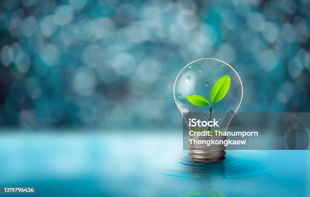 Light Bulb With Fresh Green Leaf Inside On Blurred Light Blue Background Ecological And Energy Concept Stock Photo - Download Image Now