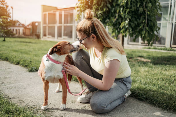 Dog shelter Young adult woman playing with dogs in animal shelter. She wants to adopt one dog. pet adoption stock pictures, royalty-free photos & images