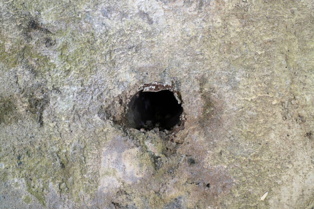 istock a hole in a concrete wall photo 1319800447