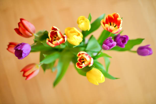 colorful