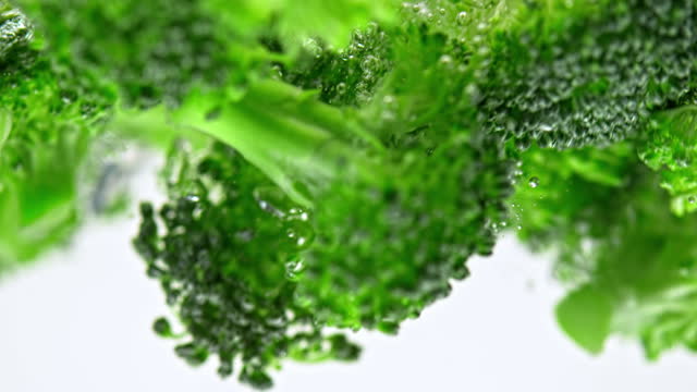 SLO MO LD Broccoli falling into water against white background