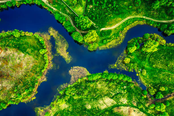 istock Lake in the meadows 1319803706
