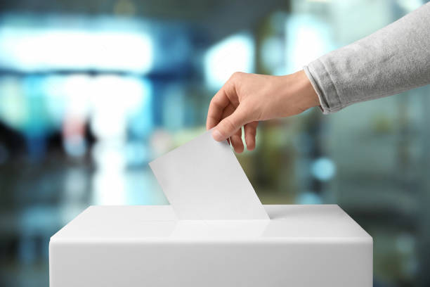 Hand holding ballot paper for election vote. stock photo