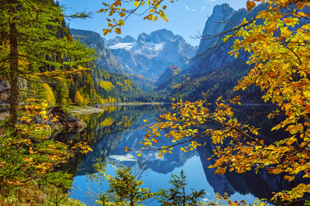 静かな秋アルプス山湖と反射。ゴサウゼンまたはヴォーダー・ゴソーズ湖、アッパーオーストリア。遠くにダッハシュタイン山頂と氷河。 - european alps austria autumn colors ストックフォトと画像