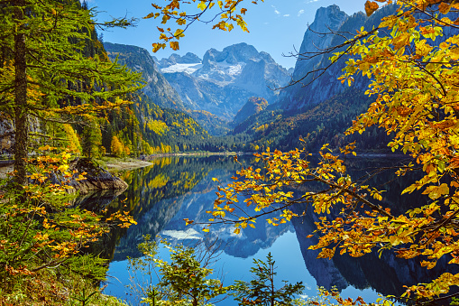 Sunny idyllic colorful autumn alpine view. Peaceful mountain lake with clear transparent water and reflections. Gosauseen or Vorderer Gosausee lake, Upper Austria. Dachstein summit and glacier in far.