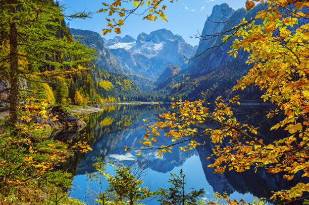 spokojne jesienne górskie jezioro alpy z refleksami. jezioro gosauseen lub vorderer gosausee w górnej austrii. dachstein szczyt i lodowiec w daleko. - european alps austria autumn colors zdjęcia i obrazy z banku zdjęć