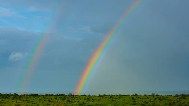 istock The Rainbow over a field after thunderstorm 1319805285