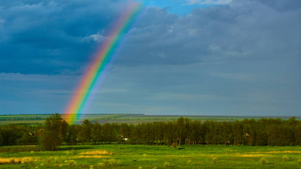 istock The Rainbow over a field after thunderstorm 1319805836