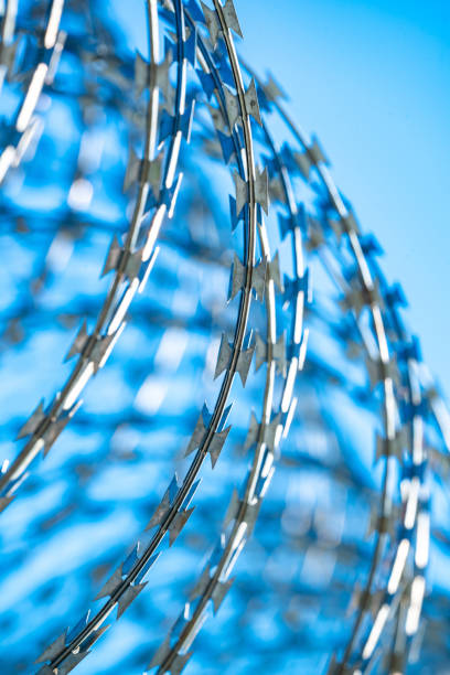 istock Barbed wire on the fence. Protective fencing specially protected 1319805837
