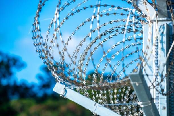 istock Barbed wire on the fence. Protective fencing specially protected 1319805855