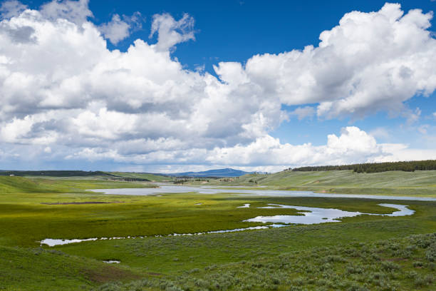 istock yellowstone national park 1319807588