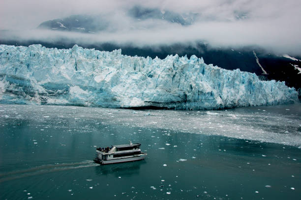 istock Glacier at Alaska 1319808589