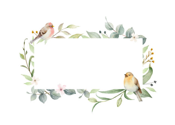 Watercolor vector wreath with green branches and birds isolated on a white background. Hand painted illustration for  greeting cards, wedding invitations and more. Watercolor vector wreath with green branches and birds isolated on a white background. Hand painted illustration for  greeting cards, wedding invitations and more. bird borders stock illustrations