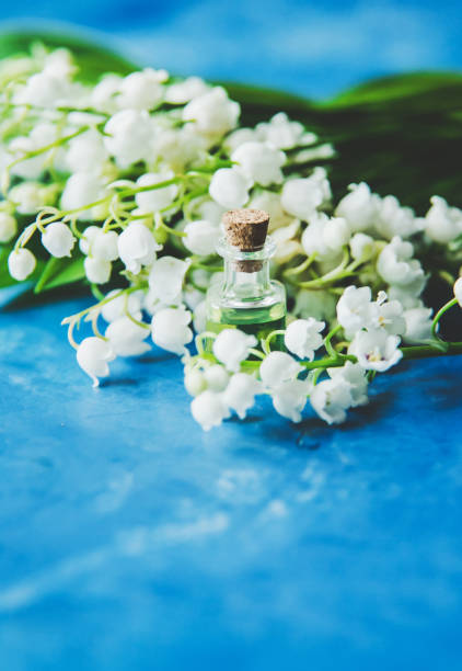 istock lily of the valley extract in small jars.Selective focus 1319810335