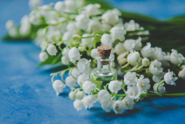 istock lily of the valley extract in small jars.Selective focus 1319810340