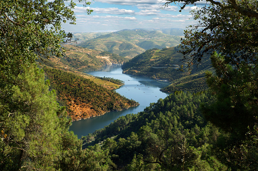 The beautiful landscapes of the Douro river in Portugal.