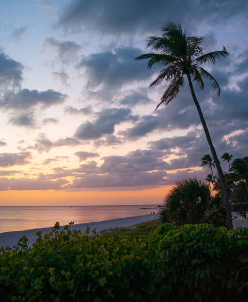 Sunrise against coconut palm trees on the beach at Fort Lauderdale, Florida with a sunburst and a cargo ship on the horizon.