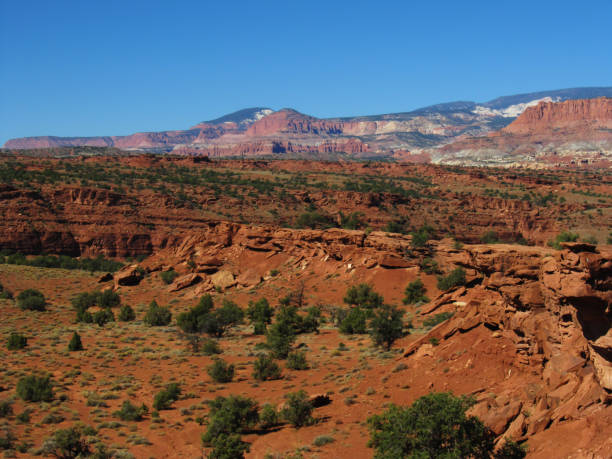 istock Colorful view from Panorama Point, Capitol Reef National Park 1319814116