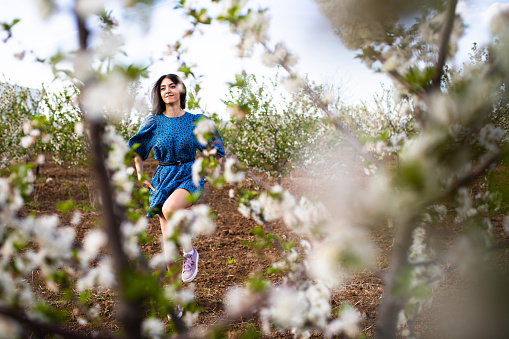 A fun young woman is dancing in an orchard in bloom on a spring day