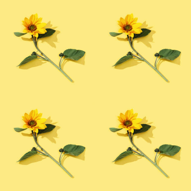 istock Seamless regular pattern from yellow sunflowers. Bright autumn blooming flowers. 1319823535