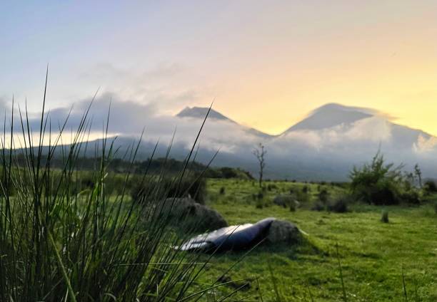 alba nel parco nazionale dei vulcani ruanda - 8446 foto e immagini stock