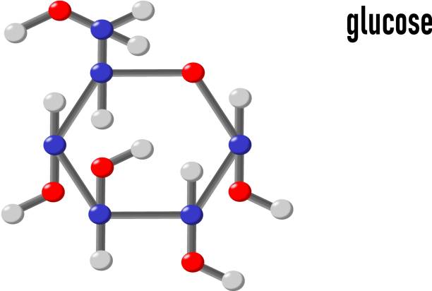 ilustraciones, imágenes clip art, dibujos animados e iconos de stock de modelo de molécula de glucosa, hecho con esferas que representan sus átomos. el azúcar más común - molecule glucose chemistry biochemistry