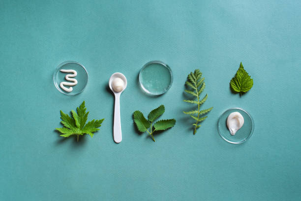istock Natural skin care concept 1319828055